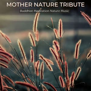 Mother Nature Tribute: Buddhist Meditation Nature Music - 111 Masterpieces