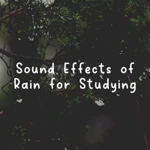 Sound Effects of Rain for Studying - Natural Rain Sounds for Sleeping