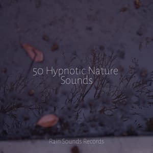 50 Hypnotic Nature Sounds - Musica Para Dormir y Sonidos de la Naturaleza