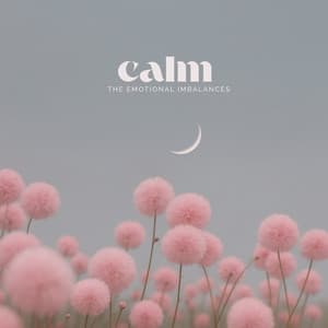 Calm the Emotional Imbalances - Elliot Woods
