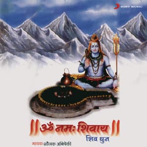 Om Namah Shivay - Shounak Abhisheki