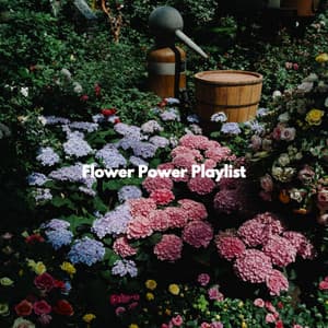 Flower Power Playlist - Lounge Bar New York