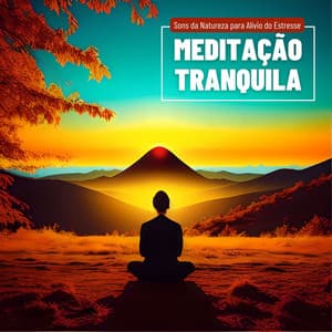 Meditação Tranquila: Sons da Natureza para Alívio do Estresse - Horizonte Perdidos