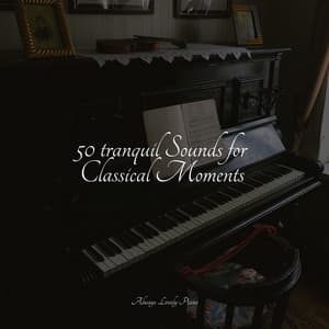 50 tranquil Sounds for Classical Moments - Peaceful Piano Chillout