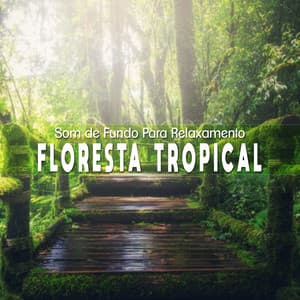 Som de Fundo para Relaxamento: Floresta Tropical - Oasis Relaxamento