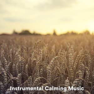 Instrumental Calming Music - The Instrumental Orchestra