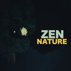 Zen Nature - Calming Music Academy