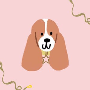 Music for Running Doggy - Jazz Organ and Guitar - Dog Music Hour