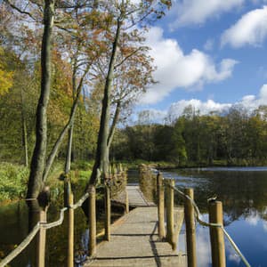 ! ! ! ! Lake Path - Música Relajante