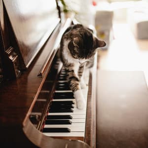 Catnap Serenity: Piano Serenades for Feline Dreams - Classical Piano Channel