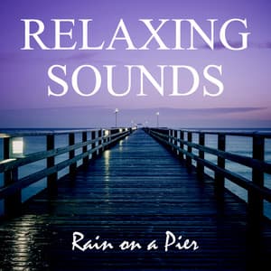 Relaxing Sounds: Rain on a Pier - Background Noise From TraxLab