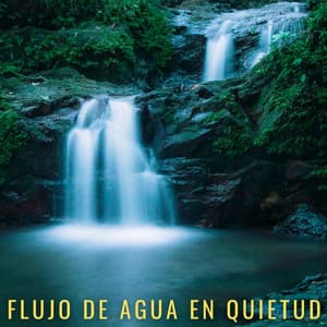 Flujo De Agua En Quietud - Balneario de agua