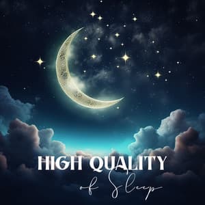 High Quality of Sleep: Deeply Healing Music for Insomnia, Sleep Problems, Sleep Apnea, Regulate Your Sleep Habits - Sleeping Music Zone