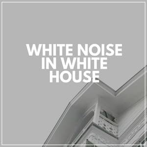 White Noise in White House - White Noise Relaxation for Sleeping Babies
