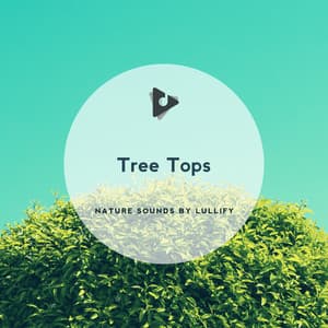 Tree Tops - Nature Sounds by Lullify
