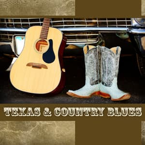 Texas & Country Blues - Big Blues Corp City