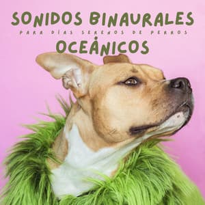 Sonidos Binaurales Oceánicos Para Días Serenos De Perros - Explorador binaural