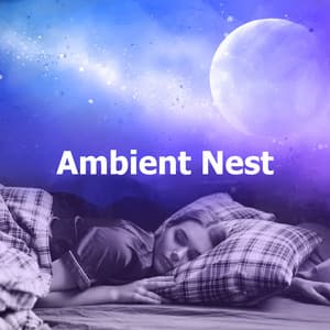 Ambient Nest - Sleep Noise Relax