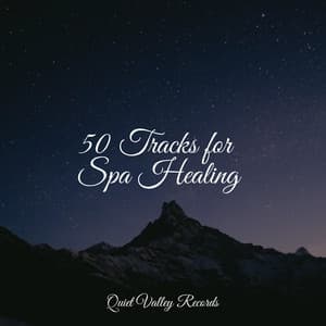 50 Tracks for Spa Healing - Academia de Relaxamento e Meditação