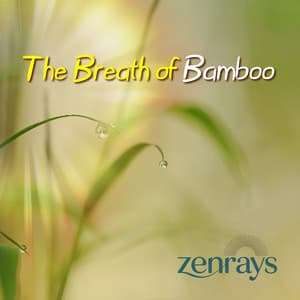 The Breath of Bamboo - Zenrays
