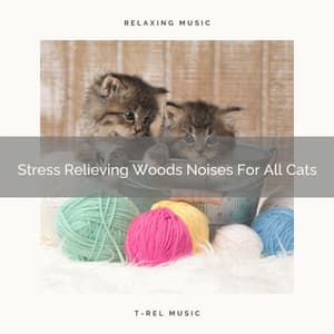 Stress Relieving Woods Noises For All Cats - Cat Total Relax
