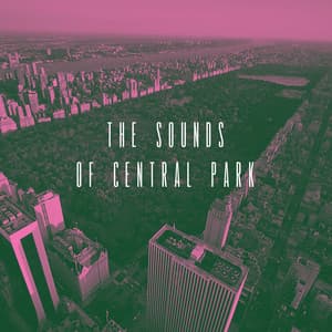 The Sounds of Central Park - Smooth Jazz