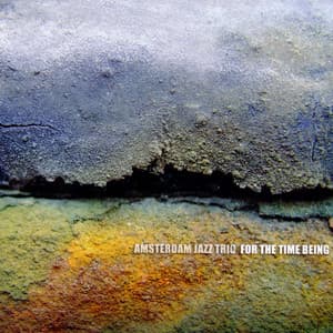 For The Time Being - Angelo Verploegen