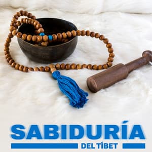 Sabiduría del Tíbet: Campanas y Cuencos Tibetanos para Curar Tu Cuerpo y Alma - Radio Tibetan Meditation Music