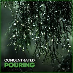 Concentrated Pouring - Rain Storm Sample Library