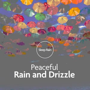 Peaceful Rain and Drizzle - Sleep Rain