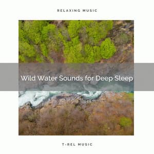 ! ! ! ! Wild Water Sounds for Deep Sleep - Sea of Calmness