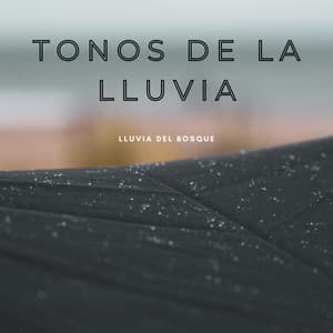 Tonos De La Lluvia: Lluvia Del Bosque - Relajante