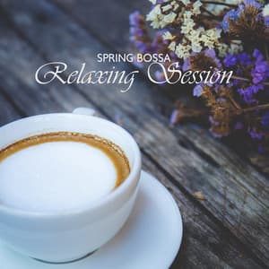 Spring Bossa Relaxing Session - Instrumental Bossa Jazz Ambient