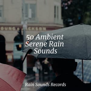 50 Ambient Serene Rain Sounds - Yoga