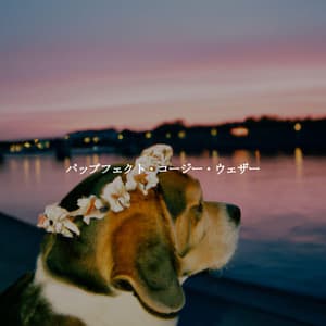 パップフェクト・コージー・ウェザー - Música para Leer