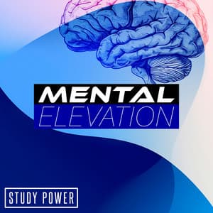 Mental Elevation - Study Power