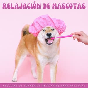 Relajación De Mascotas: Melodías De Tormentas Relajantes Para Mascotas - Sonidos de lluvia y tormentas fuertes