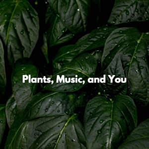 Plants, Music, and You - Jazz Relajante