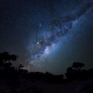 Soothing Night Vibes for Relaxing - Background Music