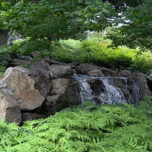 Background Sounds, Vol 15 - Meditaciones