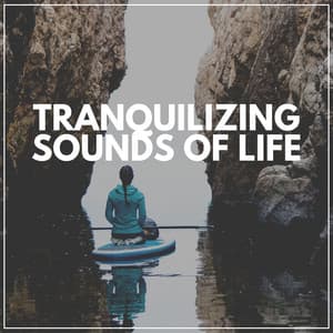 Tranquilizing Sounds of Life - Weather Sounds