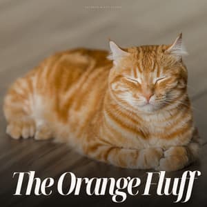 Big Orange Fluff - Cat Songs