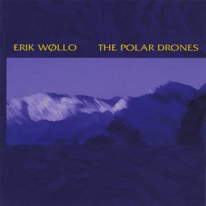 Polar Drones - Erik Wøllo