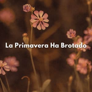La Primavera Ha Brotado - Estudios de la naturaleza en todo el mundo