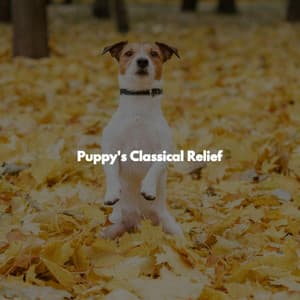 Puppy's Classical Relief - Chill Cafe Music