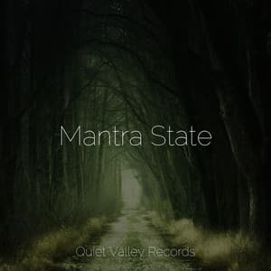 Mantra State - Weather Factory