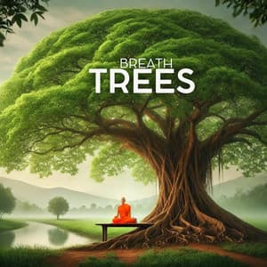 Breath Trees: Ancient Forest Meditation - Sound of Nature Library