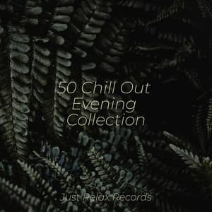 50 Chill Out Evening Collection - Mantra para Meditar