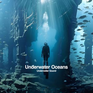 Underwater Oceans - Underwater Sound