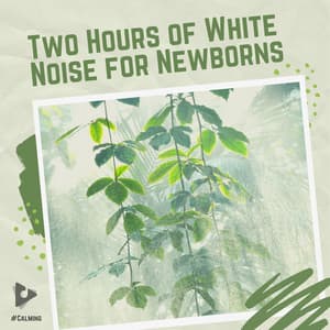 2 Hours of White Noise for Newborns - #Calming